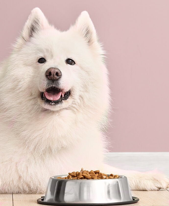 Shop Secondary Image