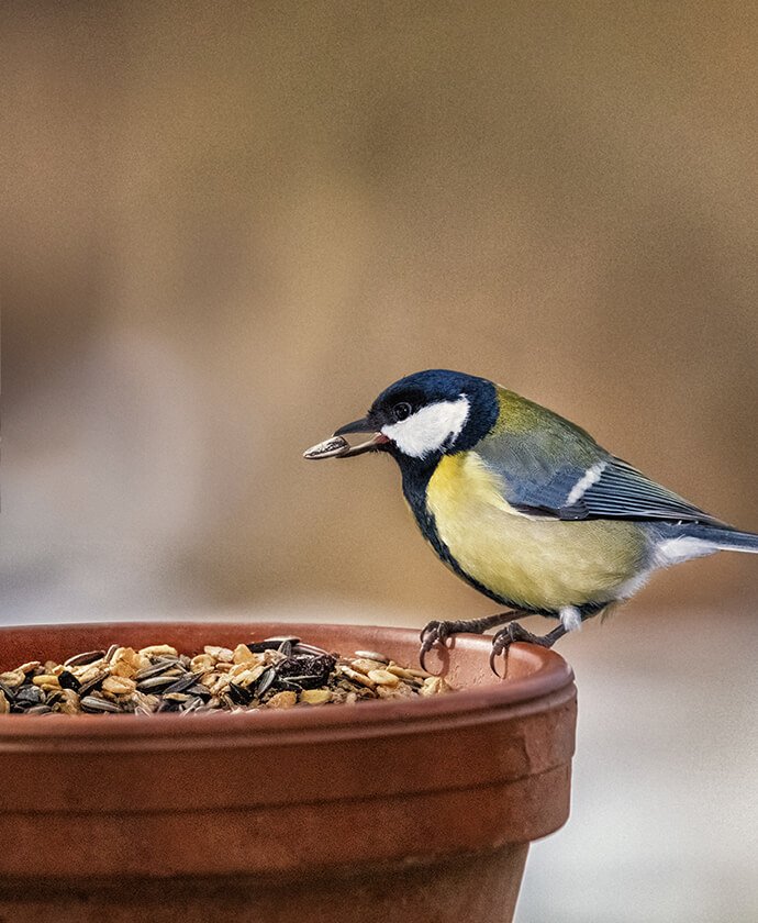 Shop Secondary Image